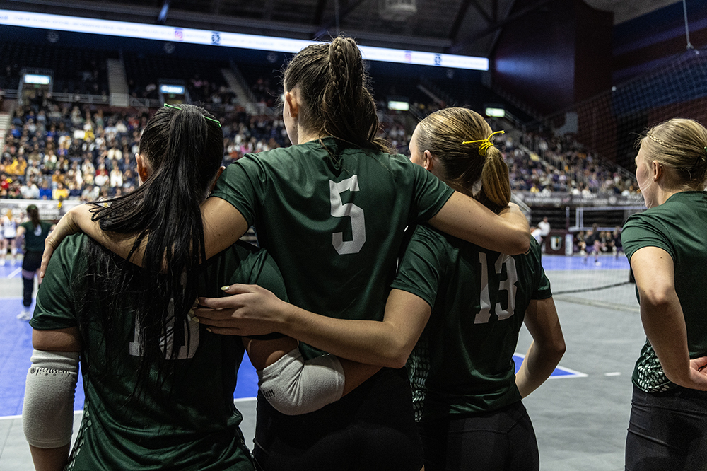 %_tempFileName1M6A4642%