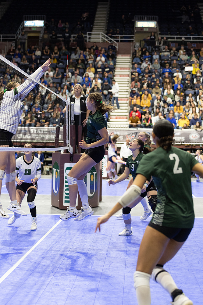 %_tempFileName1M6A4655%