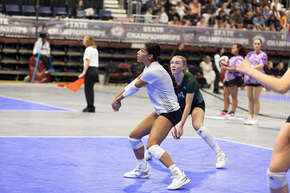 %_tempFileName1M6A4687%