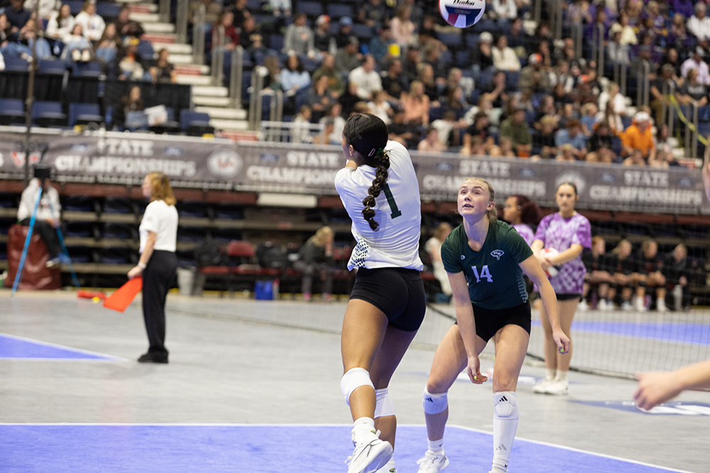 %_tempFileName1M6A4691%