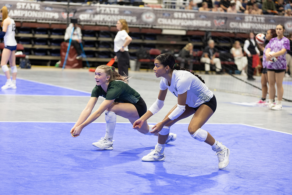 %_tempFileName1M6A4693%