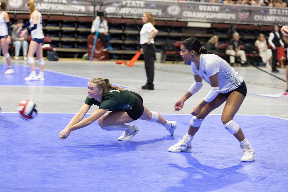 %_tempFileName1M6A4695%