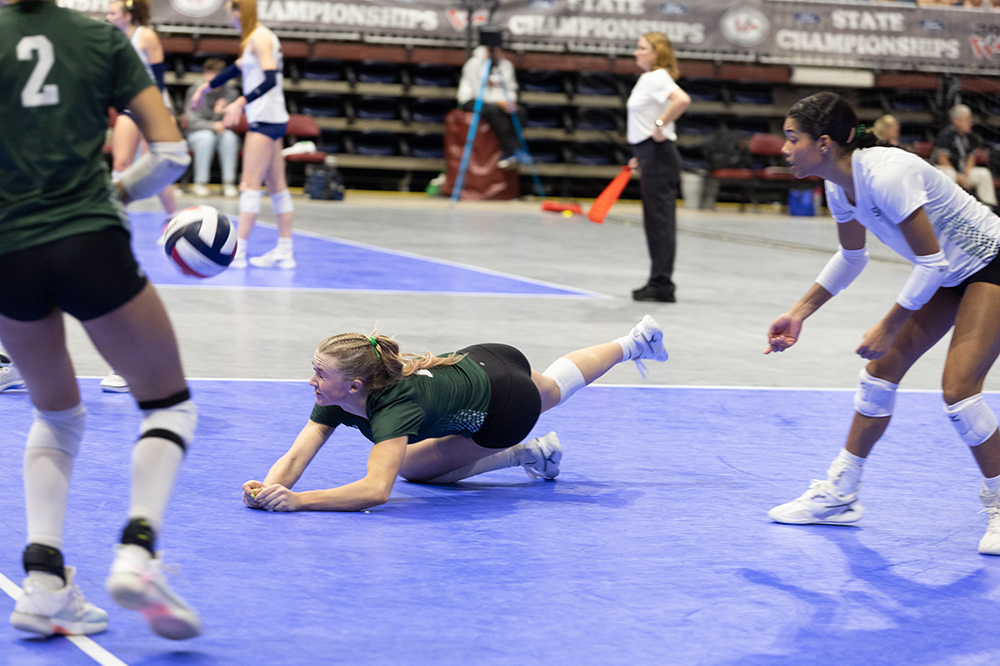 %_tempFileName1M6A4697%