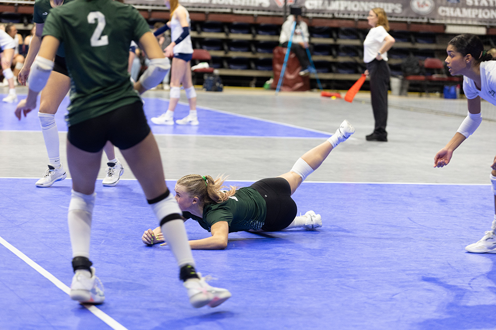 %_tempFileName1M6A4698%