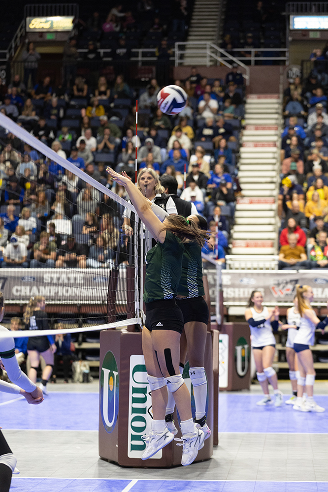 %_tempFileName1M6A4703%