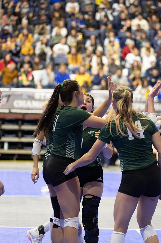 %_tempFileName1M6A4710%