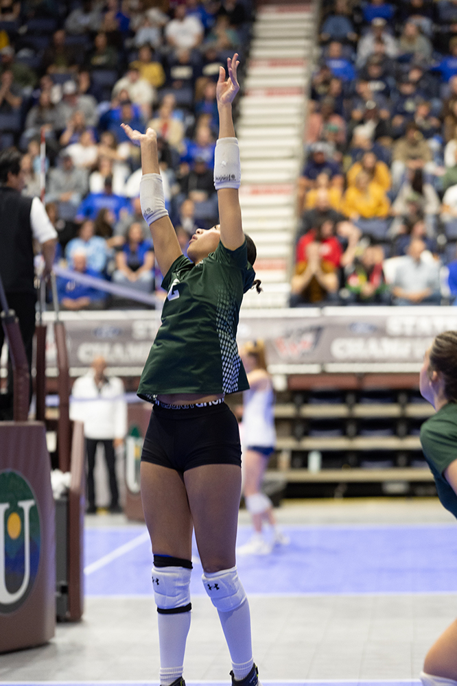 %_tempFileName1M6A4738%