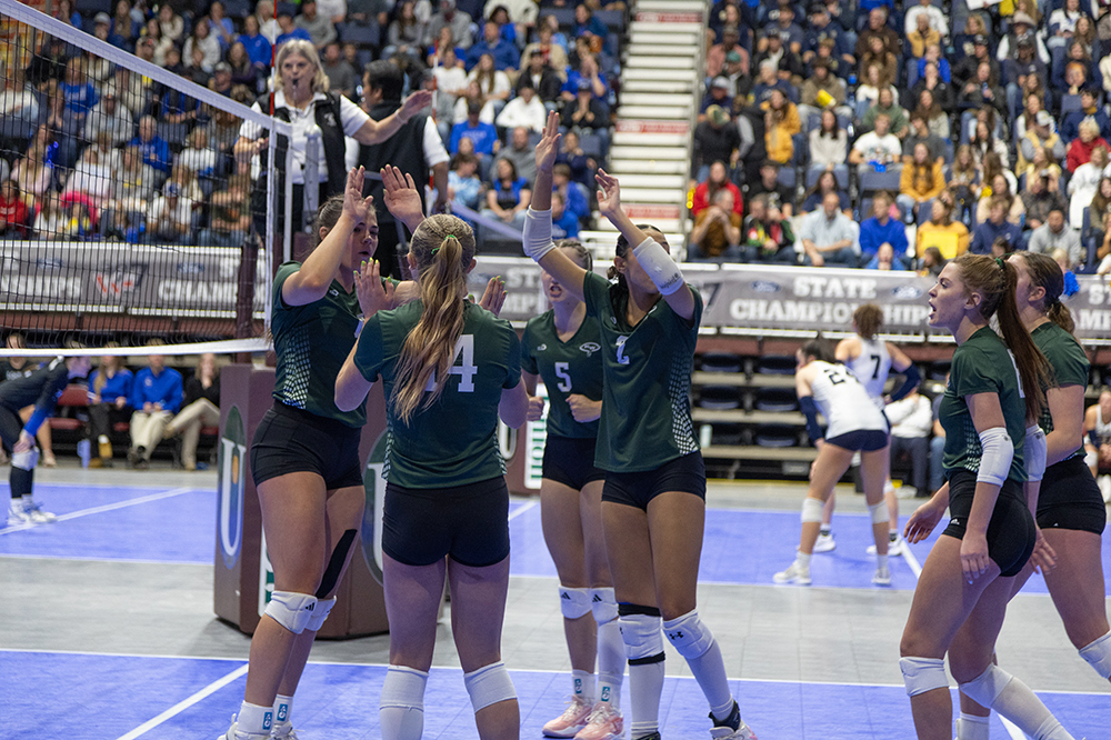 %_tempFileName1M6A4768%