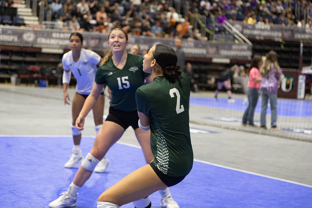 %_tempFileName1M6A4871%