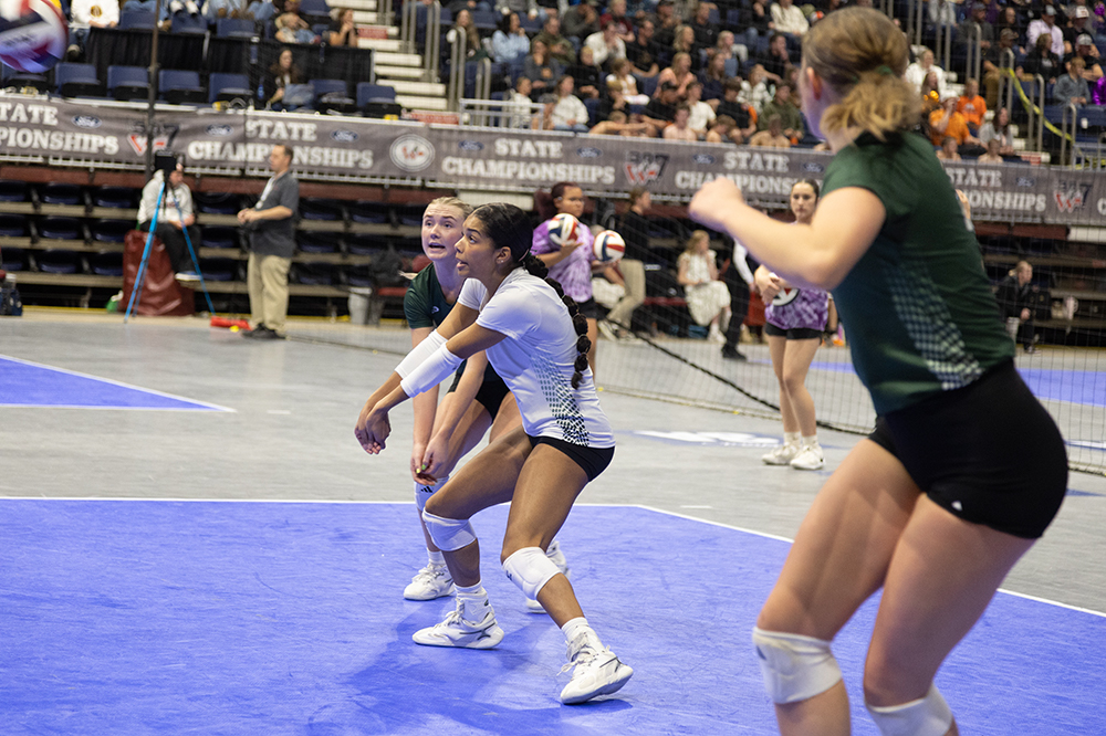 %_tempFileName1M6A4890%