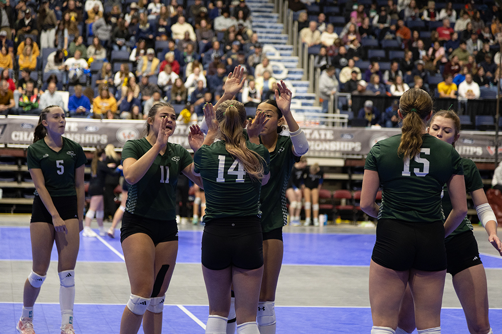 %_tempFileName1M6A4984%