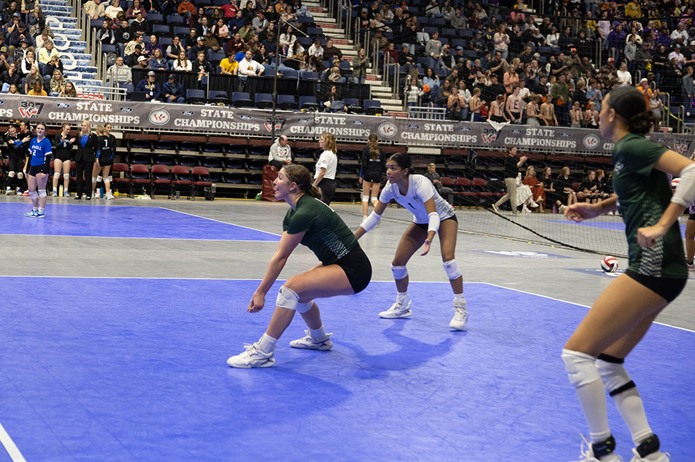 %_tempFileName1M6A4989%