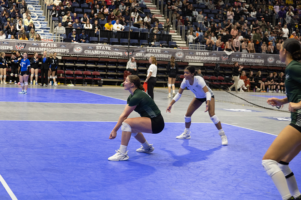 %_tempFileName1M6A4990%