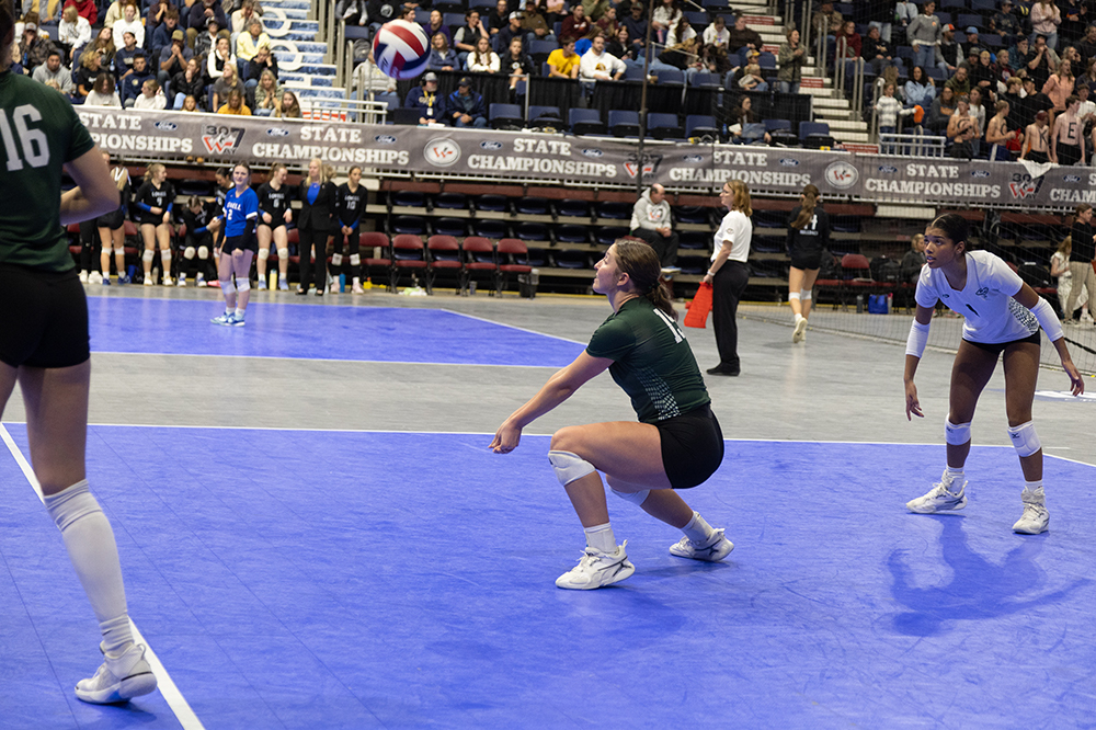 %_tempFileName1M6A4995%