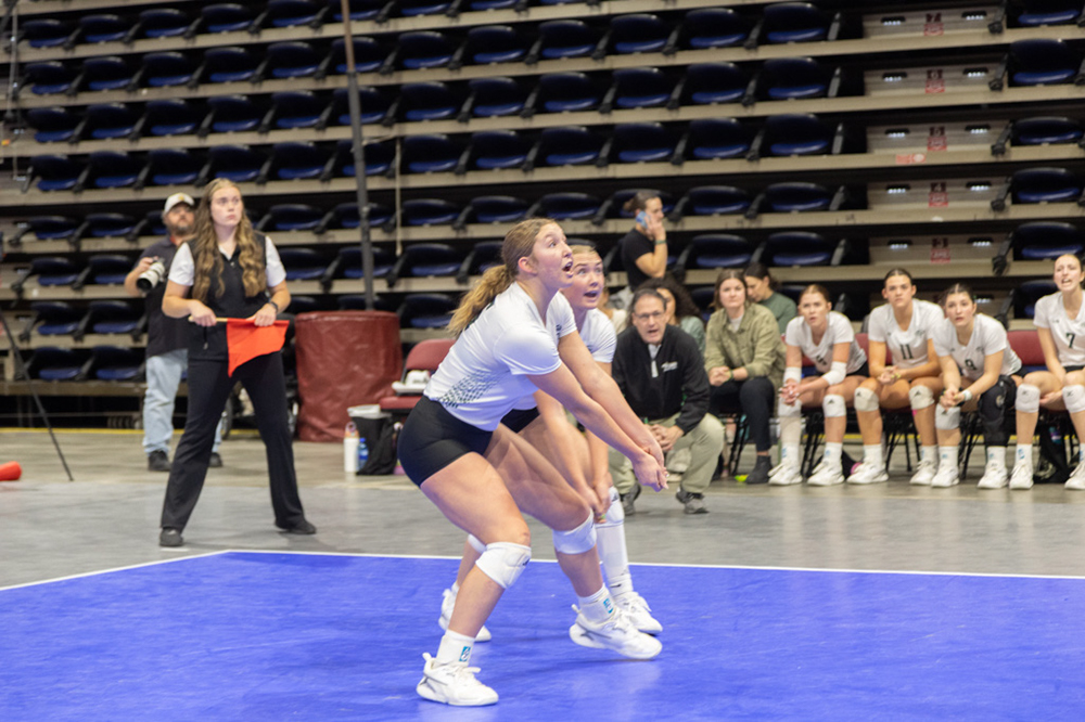 %_tempFileName1M6A0032%