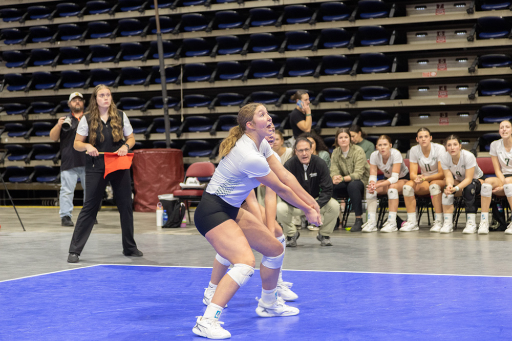 %_tempFileName1M6A0033_1%