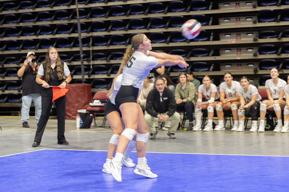 %_tempFileName1M6A0036%