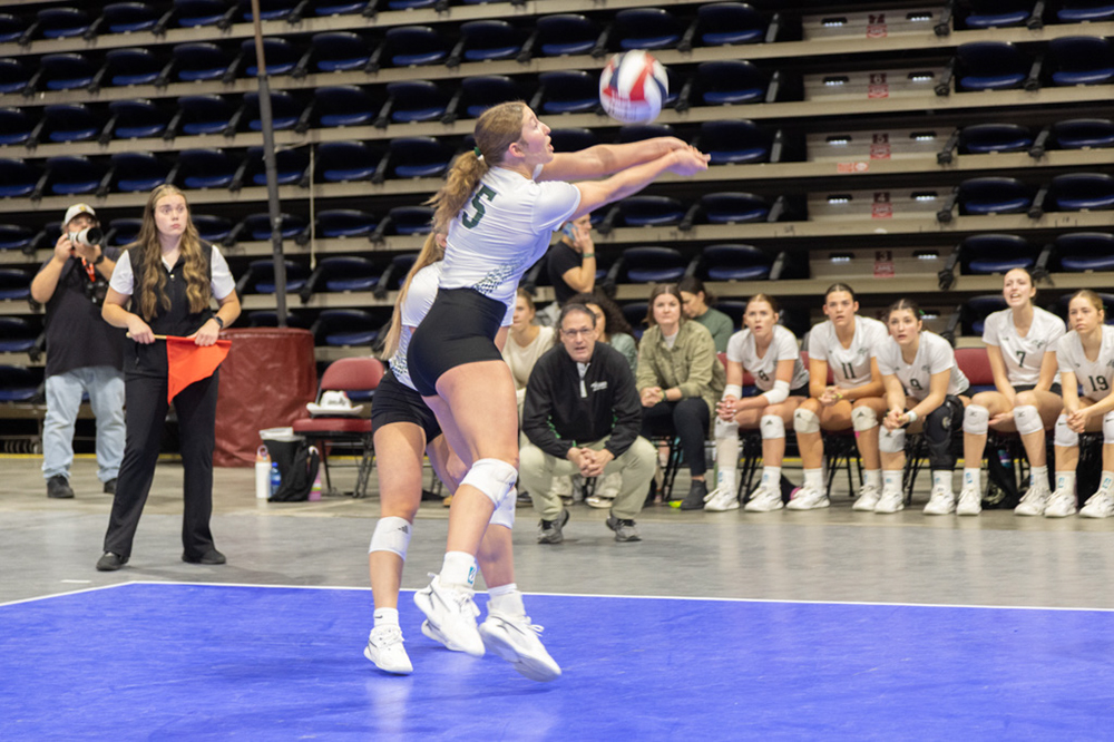 %_tempFileName1M6A0037%