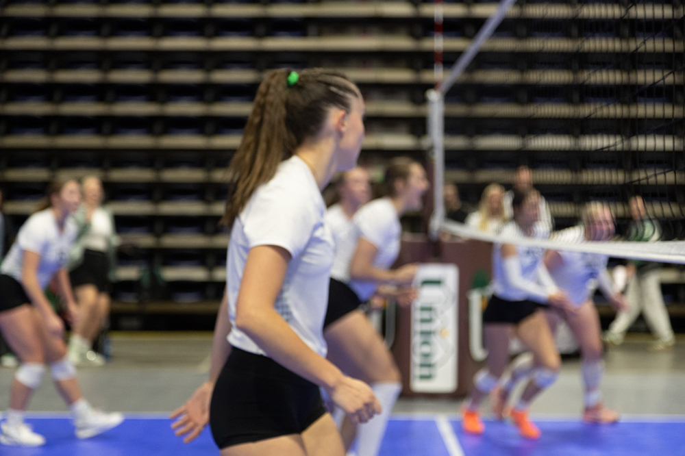 %_tempFileName1M6A0050_1%