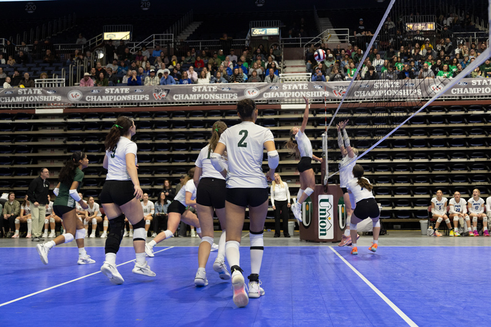 %_tempFileName1M6A0093%