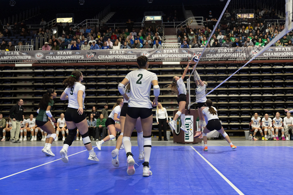 %_tempFileName1M6A0095_1%