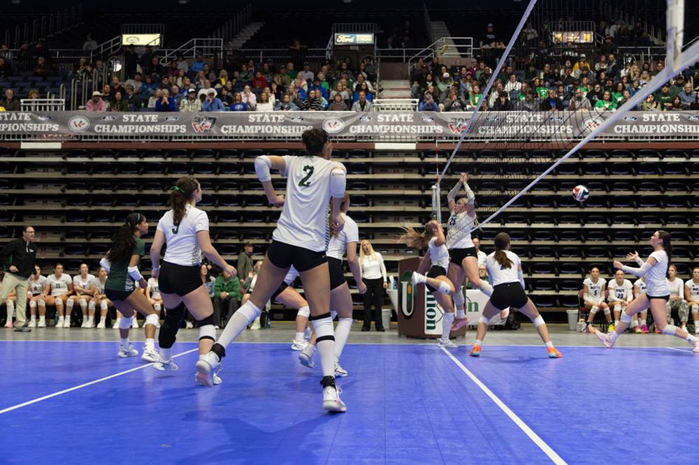 %_tempFileName1M6A0099%