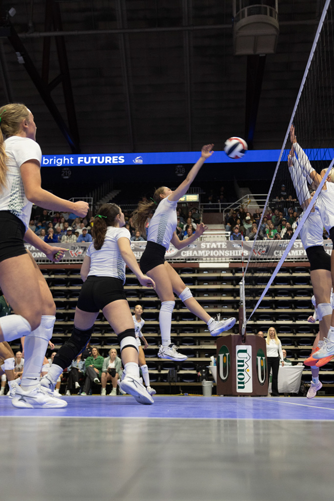 %_tempFileName1M6A0113%