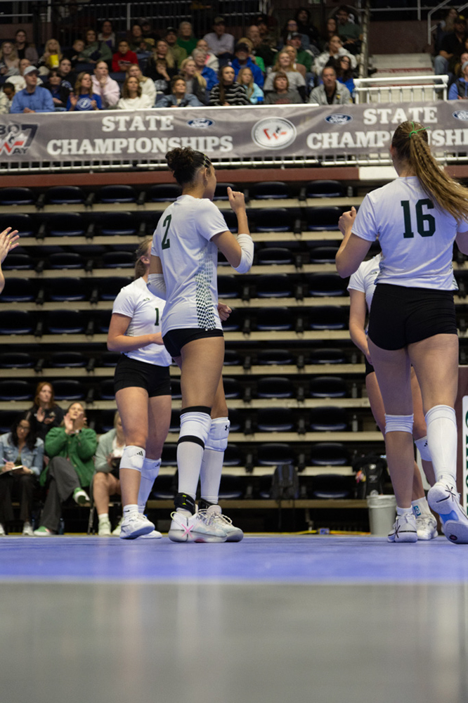 %_tempFileName1M6A0181%