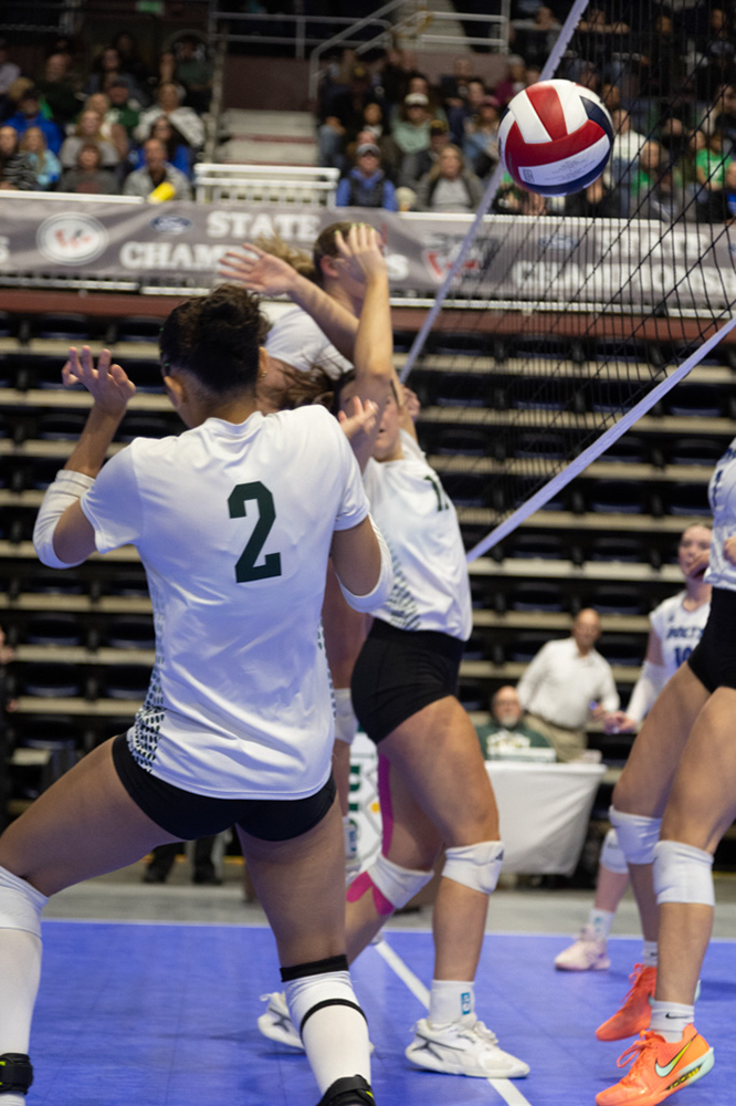 %_tempFileName1M6A0214%