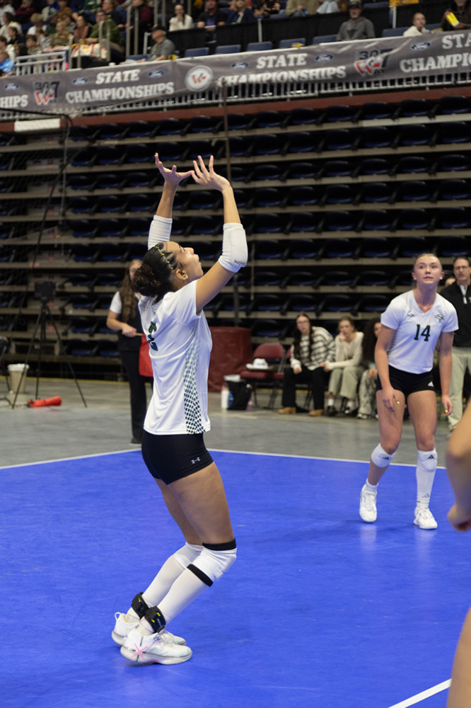 %_tempFileName1M6A0255%