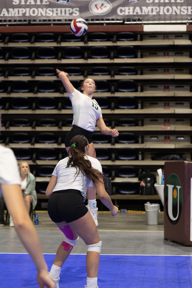 %_tempFileName1M6A0263%