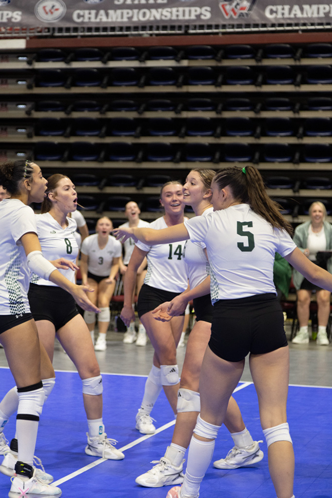 %_tempFileName1M6A0296%