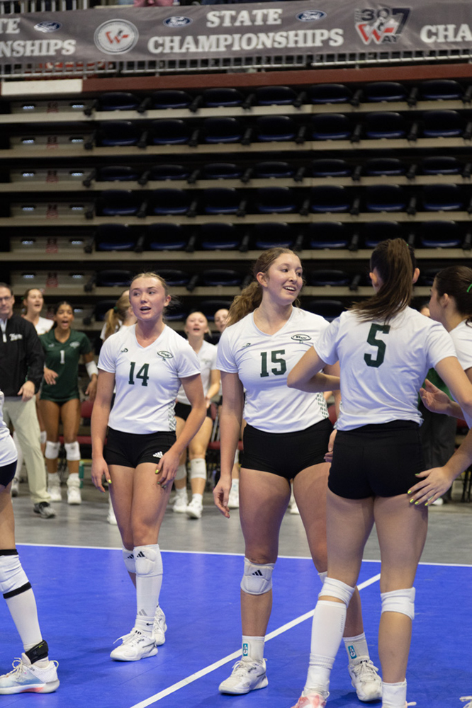 %_tempFileName1M6A0313%