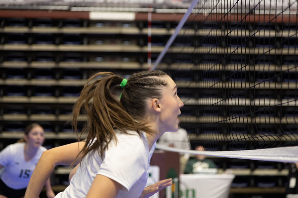 %_tempFileName1M6A0314%