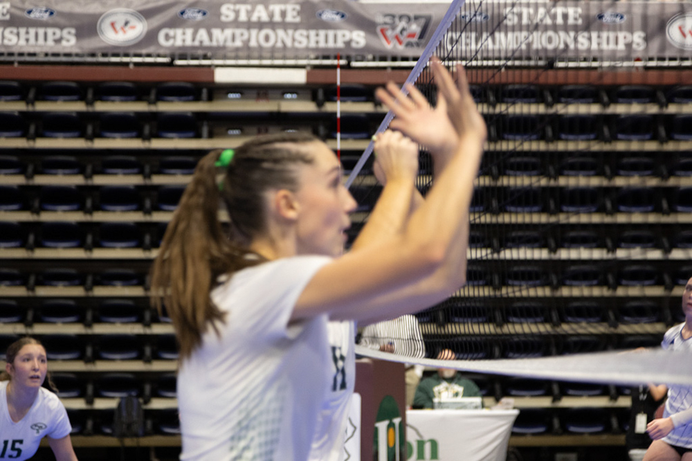 %_tempFileName1M6A0319%