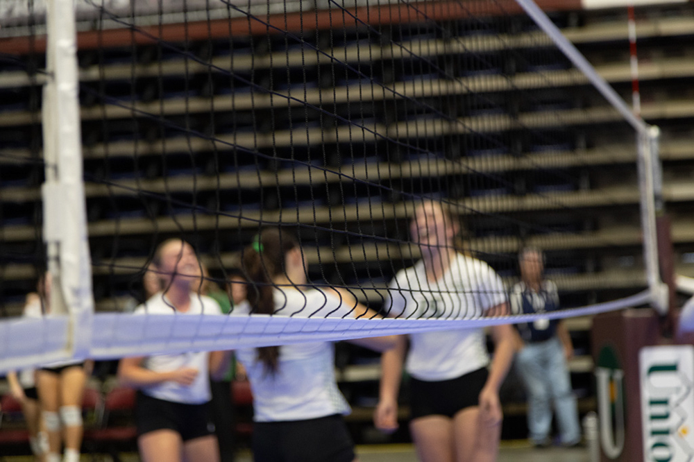 %_tempFileName1M6A0339%