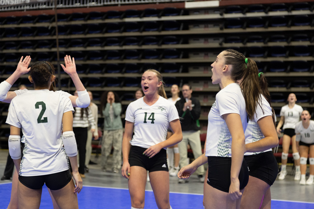 %_tempFileName1M6A0377%