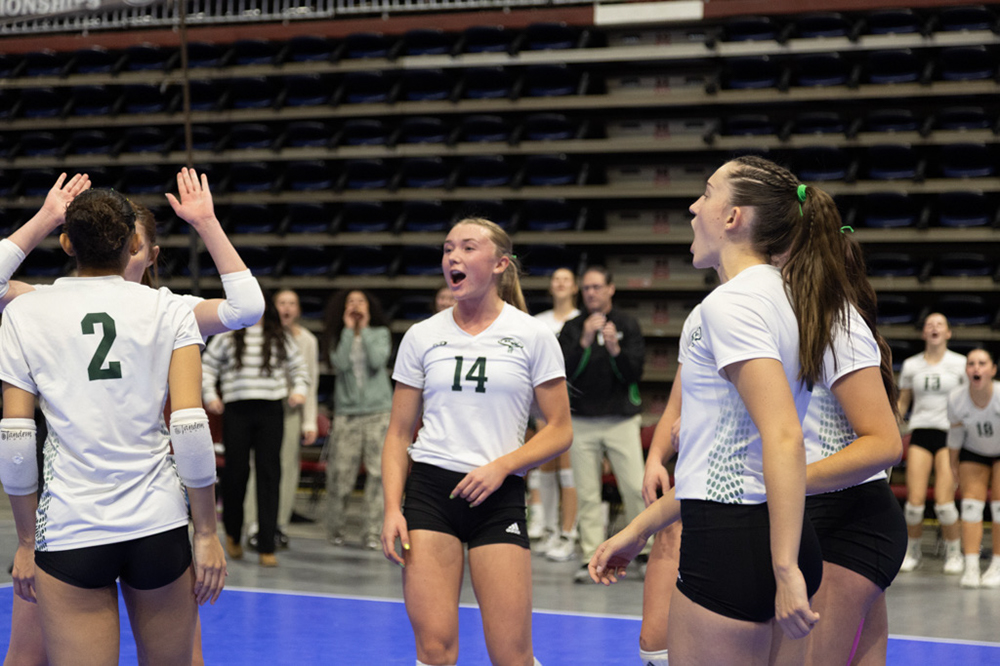 %_tempFileName1M6A0378%