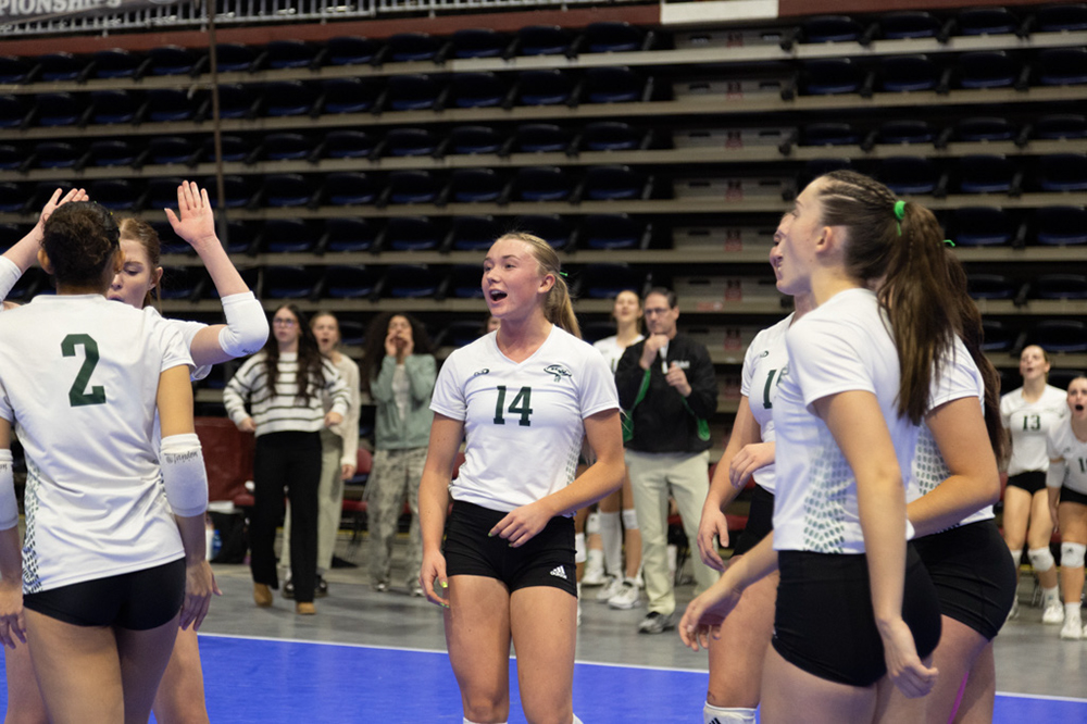 %_tempFileName1M6A0379%