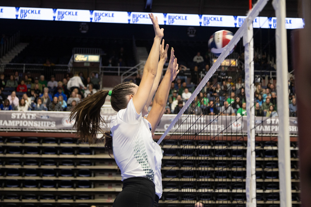 %_tempFileName1M6A0384%