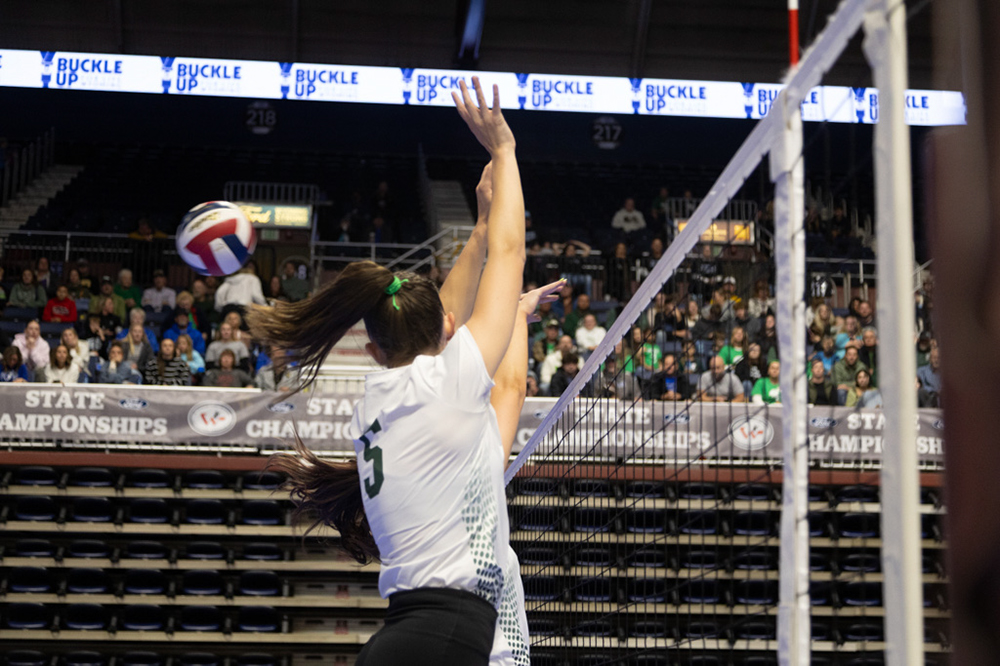 %_tempFileName1M6A0386%