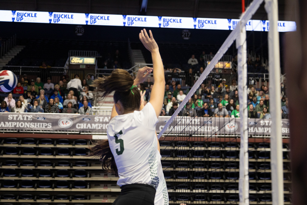 %_tempFileName1M6A0387%