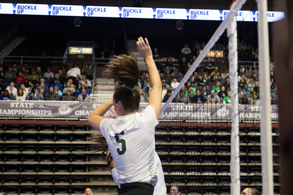 %_tempFileName1M6A0388%