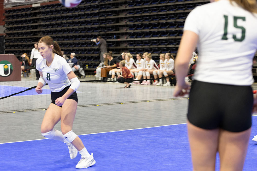 %_tempFileName1M6A0389%