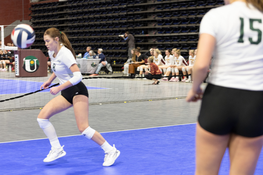 %_tempFileName1M6A0390%