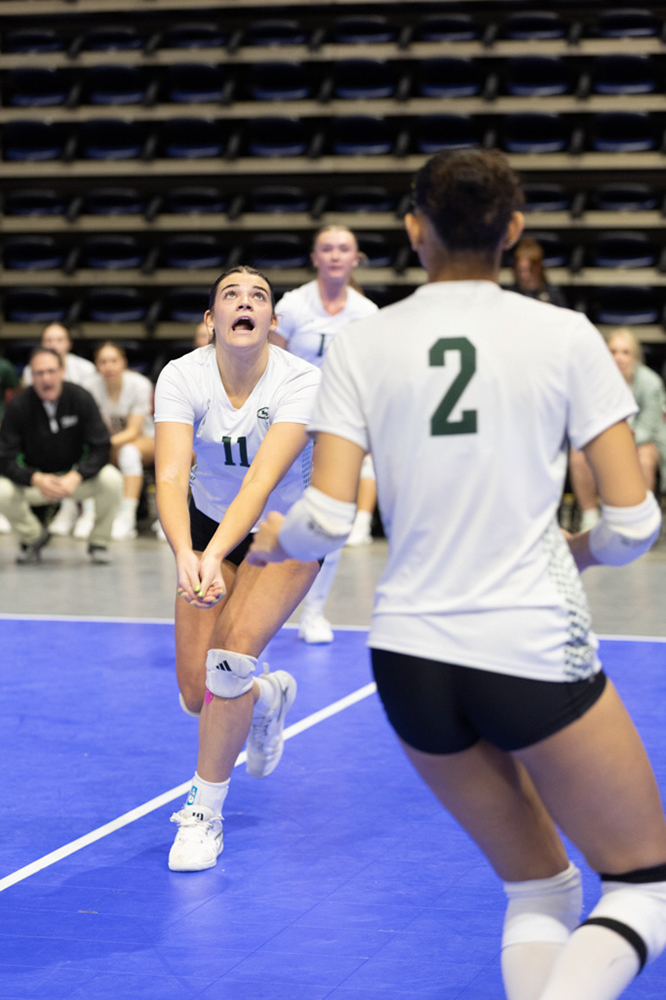 %_tempFileName1M6A0415%