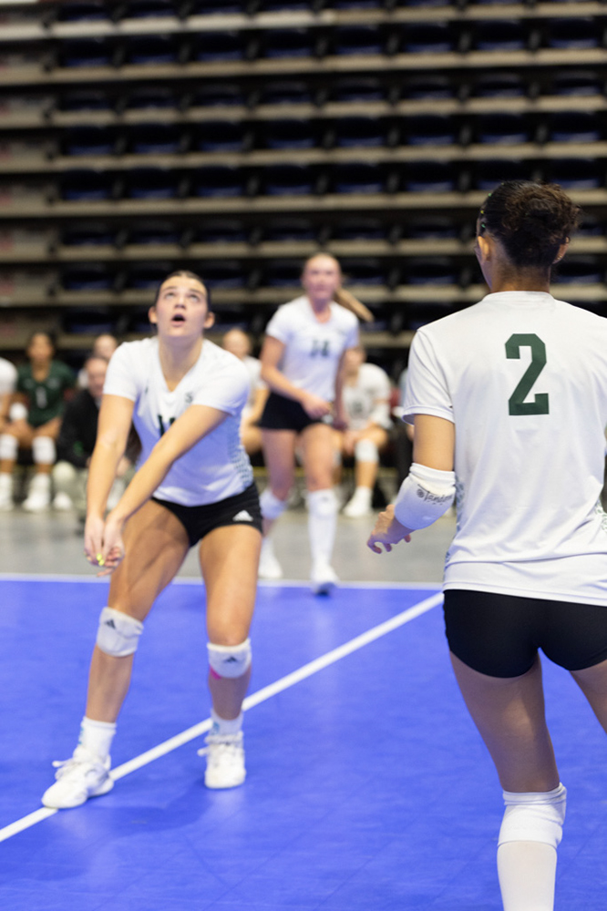 %_tempFileName1M6A0417%