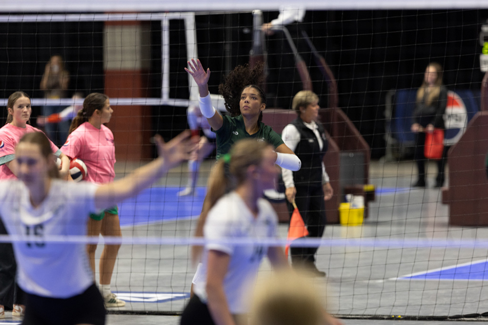 %_tempFileName1M6A0481%