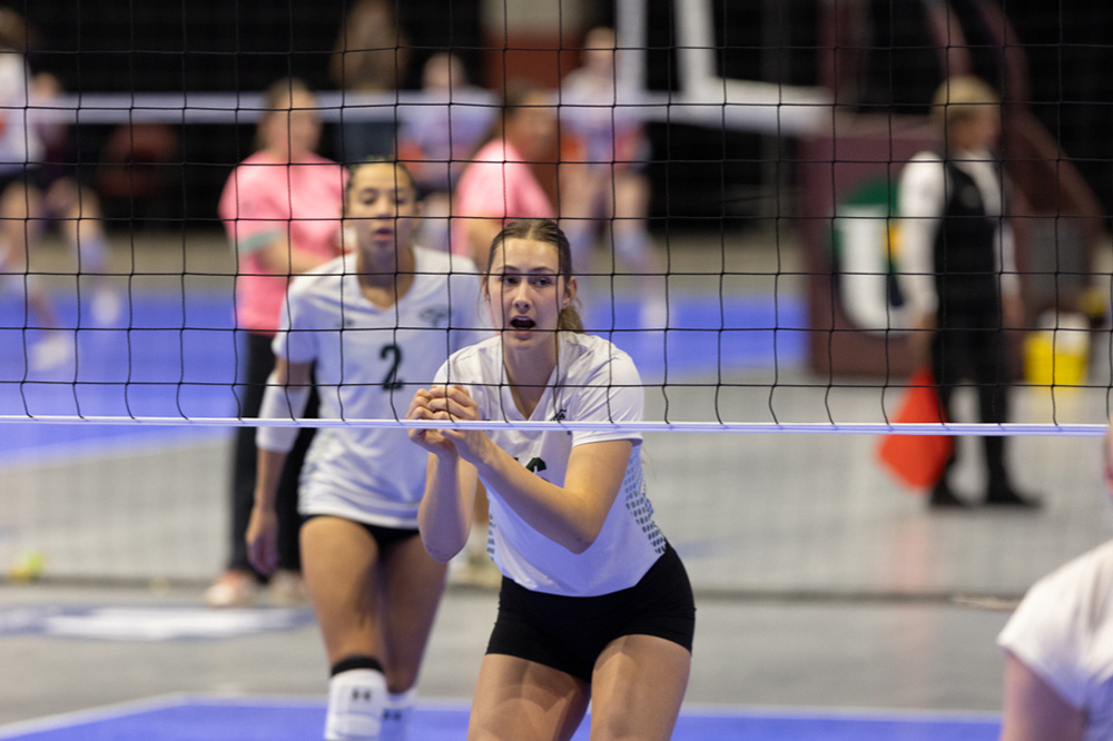 %_tempFileName1M6A0484%