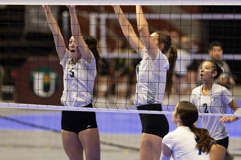 %_tempFileName1M6A0503%